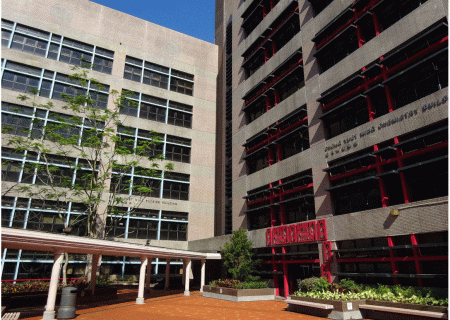 hku chemistry building